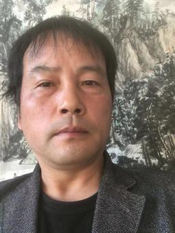 画家书法家杨蒙个人艺术简介,杨蒙画家简介,杨蒙作品价格,杨蒙个人简介,杨蒙艺术作品,书法家杨蒙简介,画家杨蒙简介