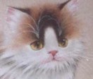 画家书法家富康猫个人艺术简介,富康猫画家简介,富康猫作品价格,富康猫个人简介,富康猫艺术作品,书法家富康猫简介,画家富康猫简介