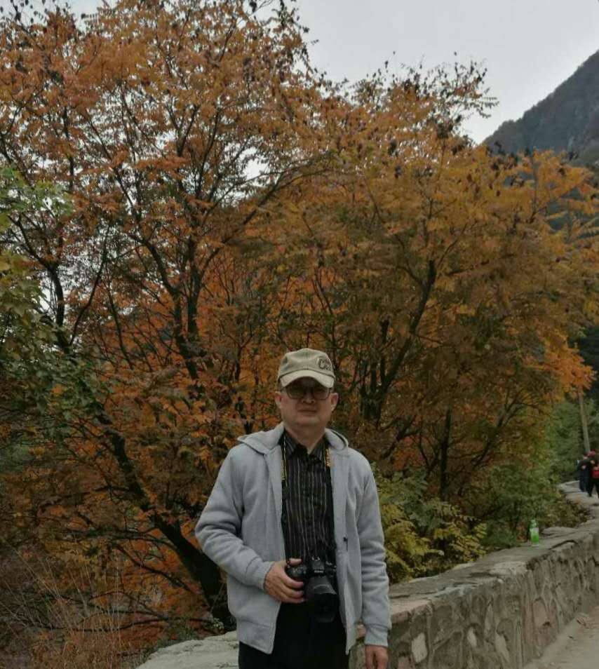 画家书法家马戈平个人艺术简介,马戈平画家简介,马戈平作品价格,马戈平个人简介,马戈平艺术作品,书法家马戈平简介,画家马戈平简介