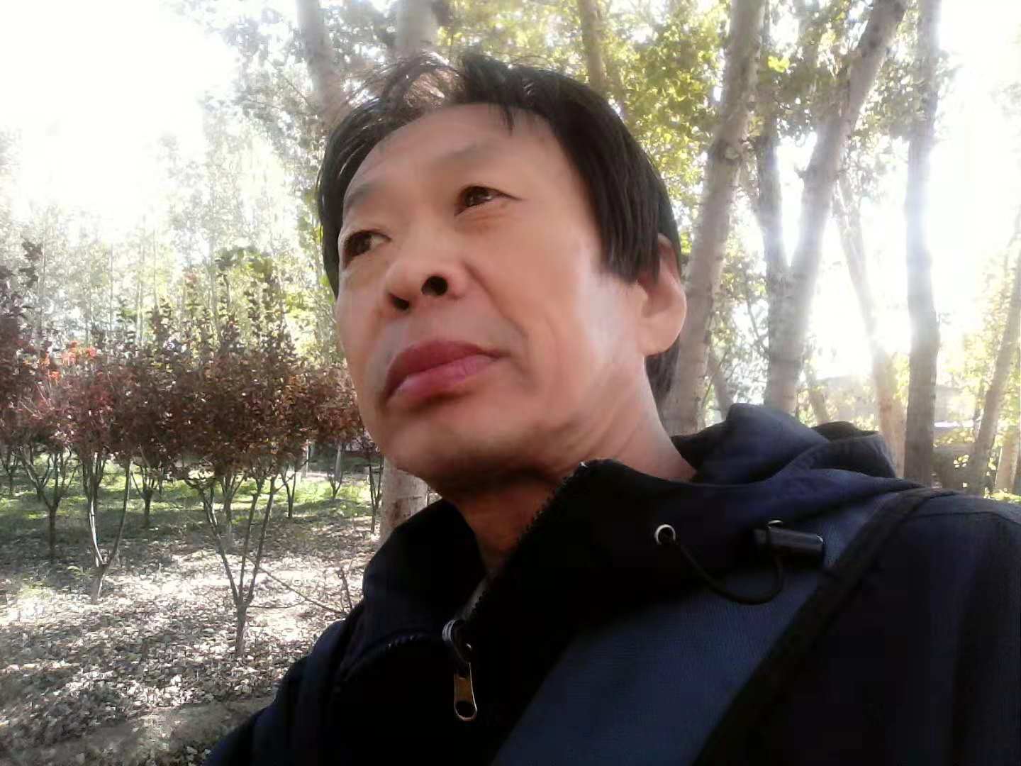 画家书法家鹿曼个人艺术简介,鹿曼画家简介,鹿曼作品价格,鹿曼个人简介,鹿曼艺术作品,书法家鹿曼简介,画家鹿曼简介