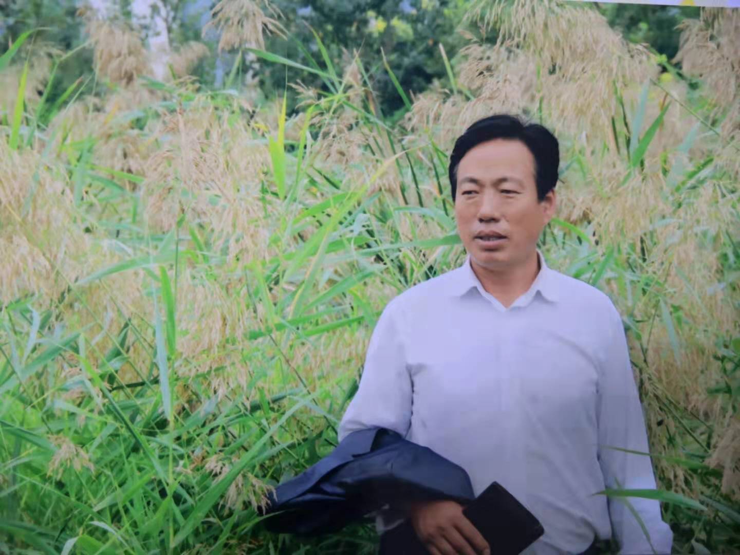 画家书法家柴仁个人艺术简介,柴仁画家简介,柴仁作品价格,柴仁个人简介,柴仁艺术作品,书法家柴仁简介,画家柴仁简介
