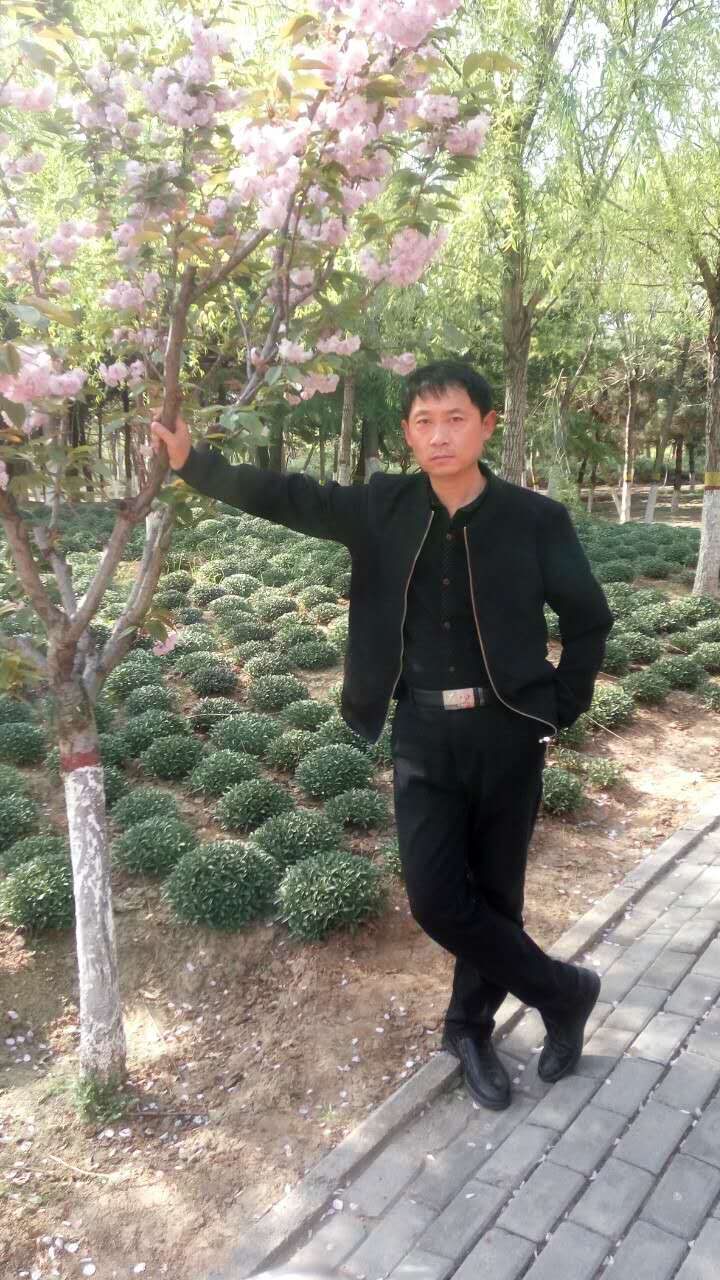 画家书法家孙国强个人艺术简介,孙国强画家简介,孙国强作品价格,孙国强个人简介,孙国强艺术作品,书法家孙国强简介,画家孙国强简介