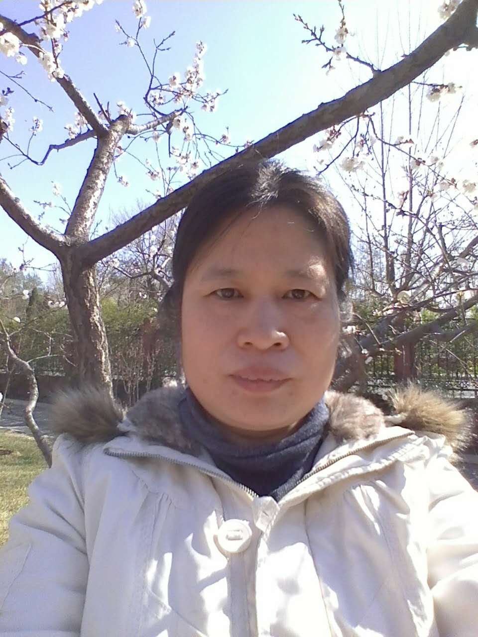 画家书法家楸梓个人艺术简介,楸梓画家简介,楸梓作品价格,楸梓个人简介,楸梓艺术作品,书法家楸梓简介,画家楸梓简介