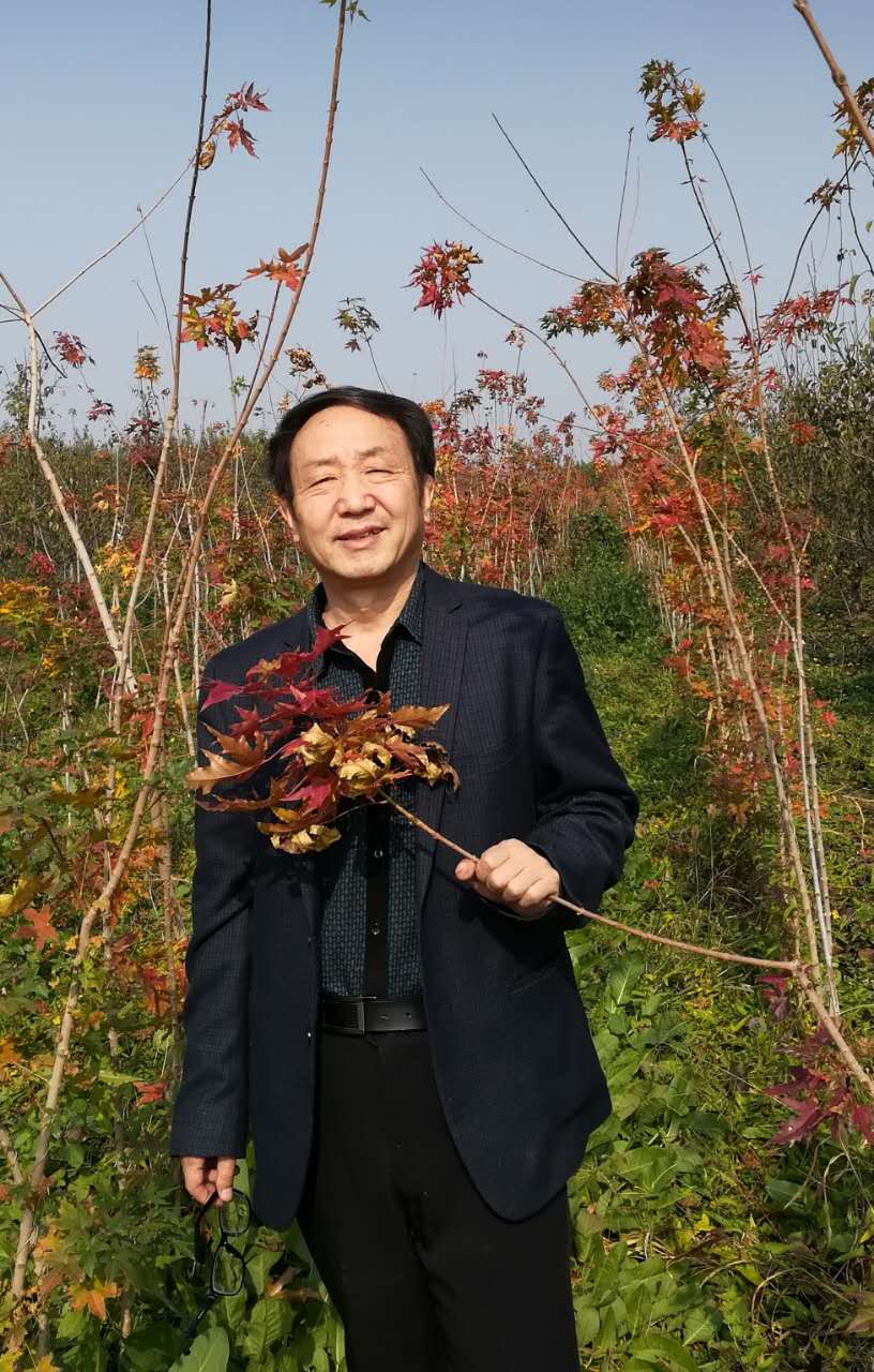 画家书法家周秀良个人艺术简介,周秀良画家简介,周秀良作品价格,周秀良个人简介,周秀良艺术作品,书法家周秀良简介,画家周秀良简介
