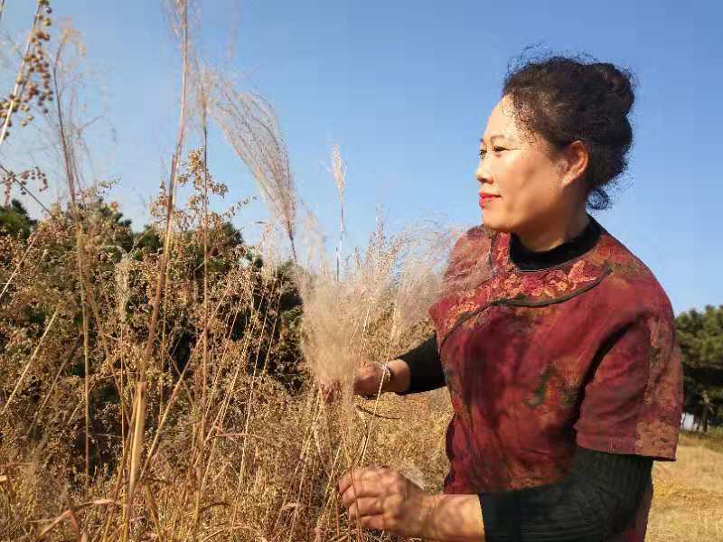画家书法家赵金云个人艺术简介,赵金云画家简介,赵金云作品价格,赵金云个人简介,赵金云艺术作品,书法家赵金云简介,画家赵金云简介