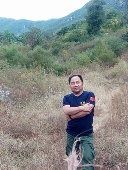 画家书法家司军个人艺术简介,司军画家简介,司军作品价格,司军个人简介,司军艺术作品,书法家司军简介,画家司军简介