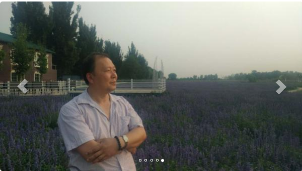 画家书法家王振东个人艺术简介,王振东画家简介,王振东作品价格,王振东个人简介,王振东艺术作品,书法家王振东简介,画家王振东简介