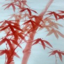 画家书法家曹一农个人艺术简介,曹一农画家简介,曹一农作品价格,曹一农个人简介,曹一农艺术作品,书法家曹一农简介,画家曹一农简介