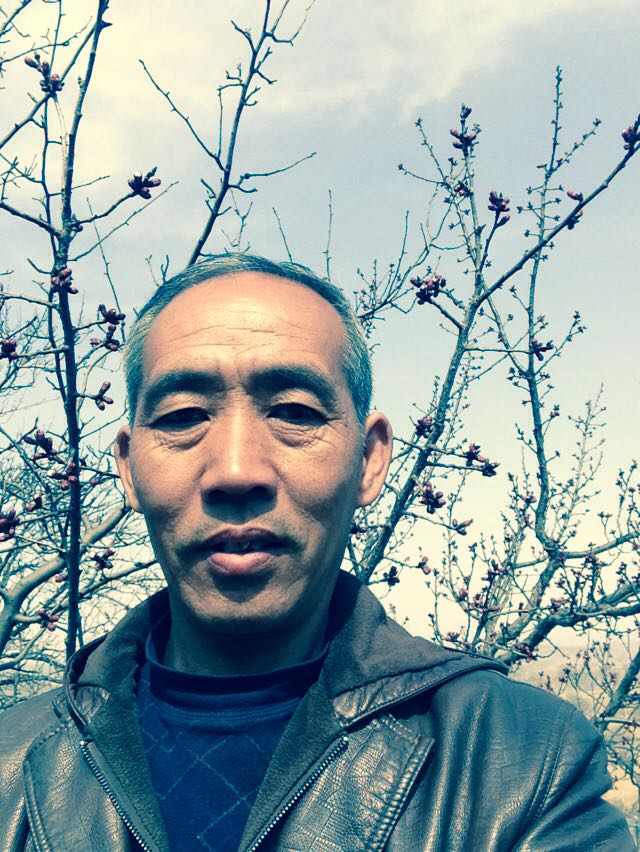 画家书法家秦国富个人艺术简介,秦国富画家简介,秦国富作品价格,秦国富个人简介,秦国富艺术作品,书法家秦国富简介,画家秦国富简介