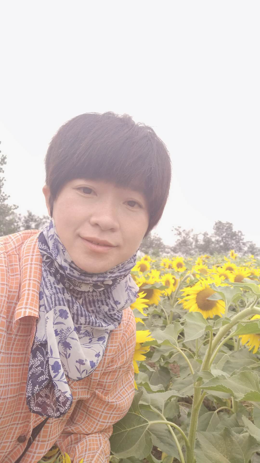 画家书法家田春霞个人艺术简介,田春霞画家简介,田春霞作品价格,田春霞个人简介,田春霞艺术作品,书法家田春霞简介,画家田春霞简介