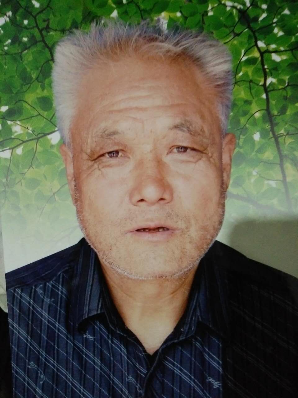画家书法家李文学个人艺术简介,李文学画家简介,李文学作品价格,李文学个人简介,李文学艺术作品,书法家李文学简介,画家李文学简介