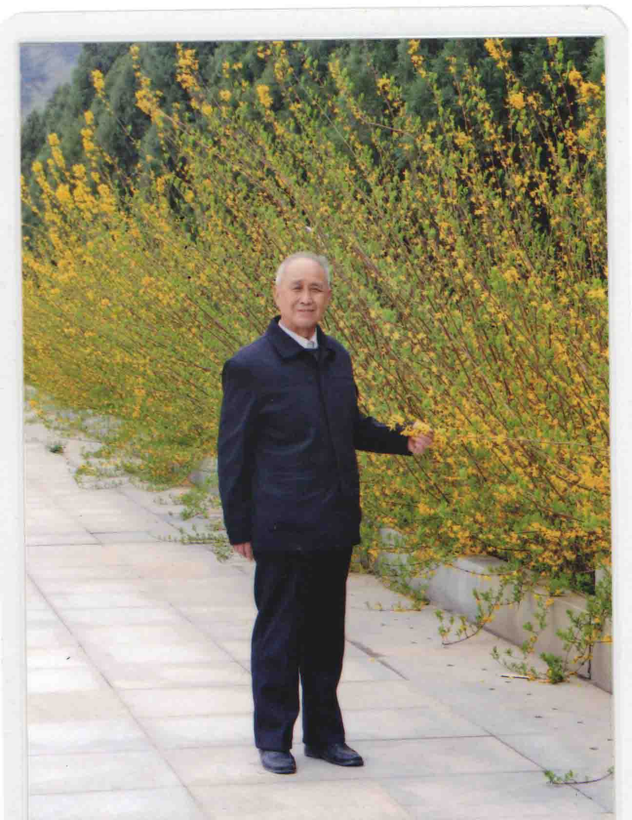 画家书法家 孔令元个人艺术简介, 孔令元画家简介, 孔令元作品价格, 孔令元个人简介, 孔令元艺术作品,书法家 孔令元简介,画家 孔令元简介