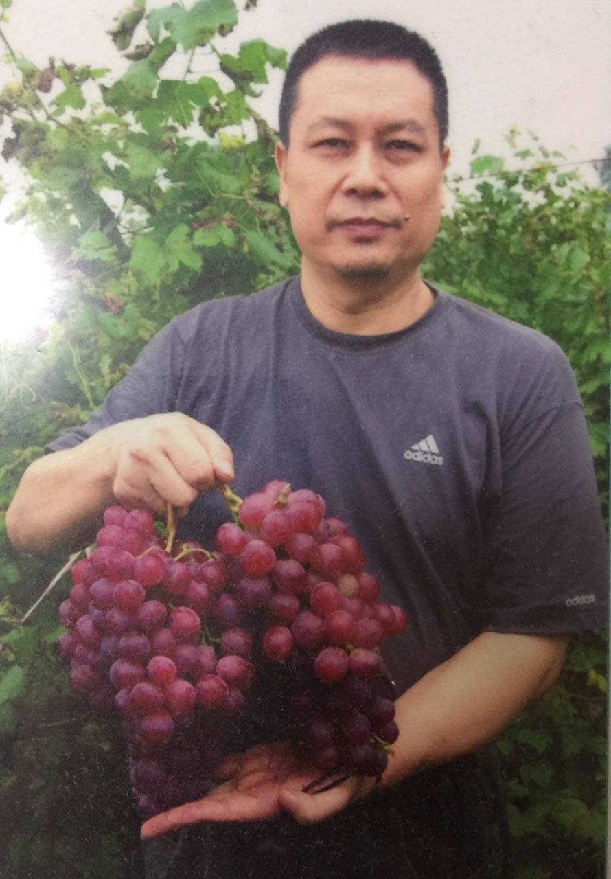 画家书法家文继新个人艺术简介,文继新画家简介,文继新作品价格,文继新个人简介,文继新艺术作品,书法家文继新简介,画家文继新简介