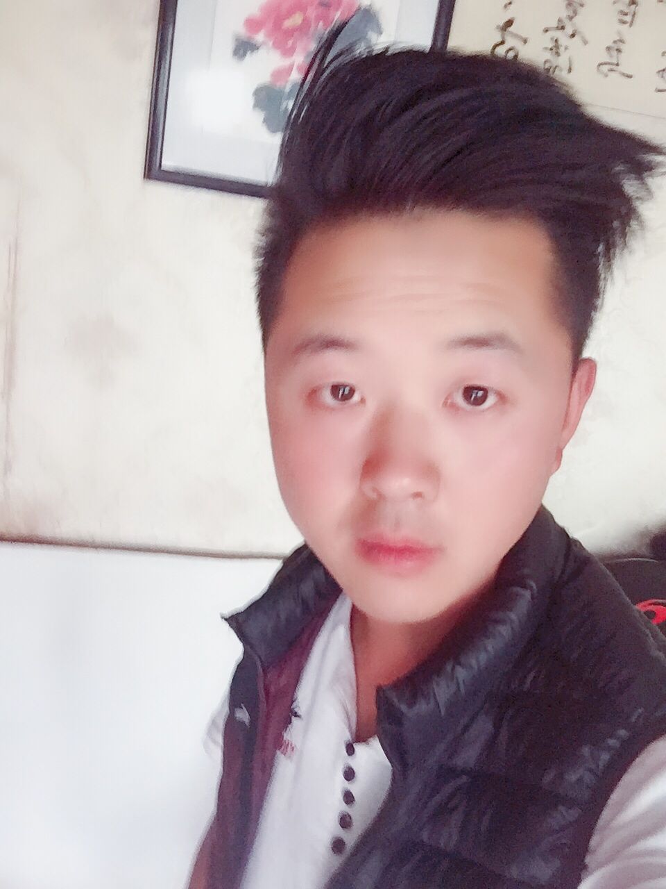 画家书法家董杰个人艺术简介,董杰画家简介,董杰作品价格,董杰个人简介,董杰艺术作品,书法家董杰简介,画家董杰简介