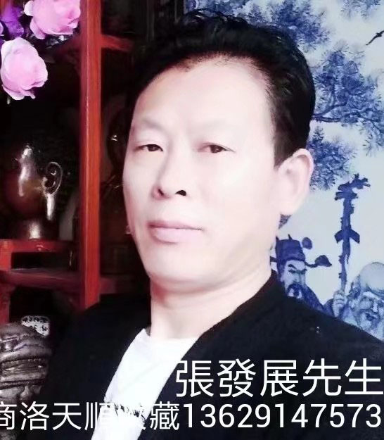 画家书法家张发展个人艺术简介,张发展画家简介,张发展作品价格,张发展个人简介,张发展艺术作品,书法家张发展简介,画家张发展简介