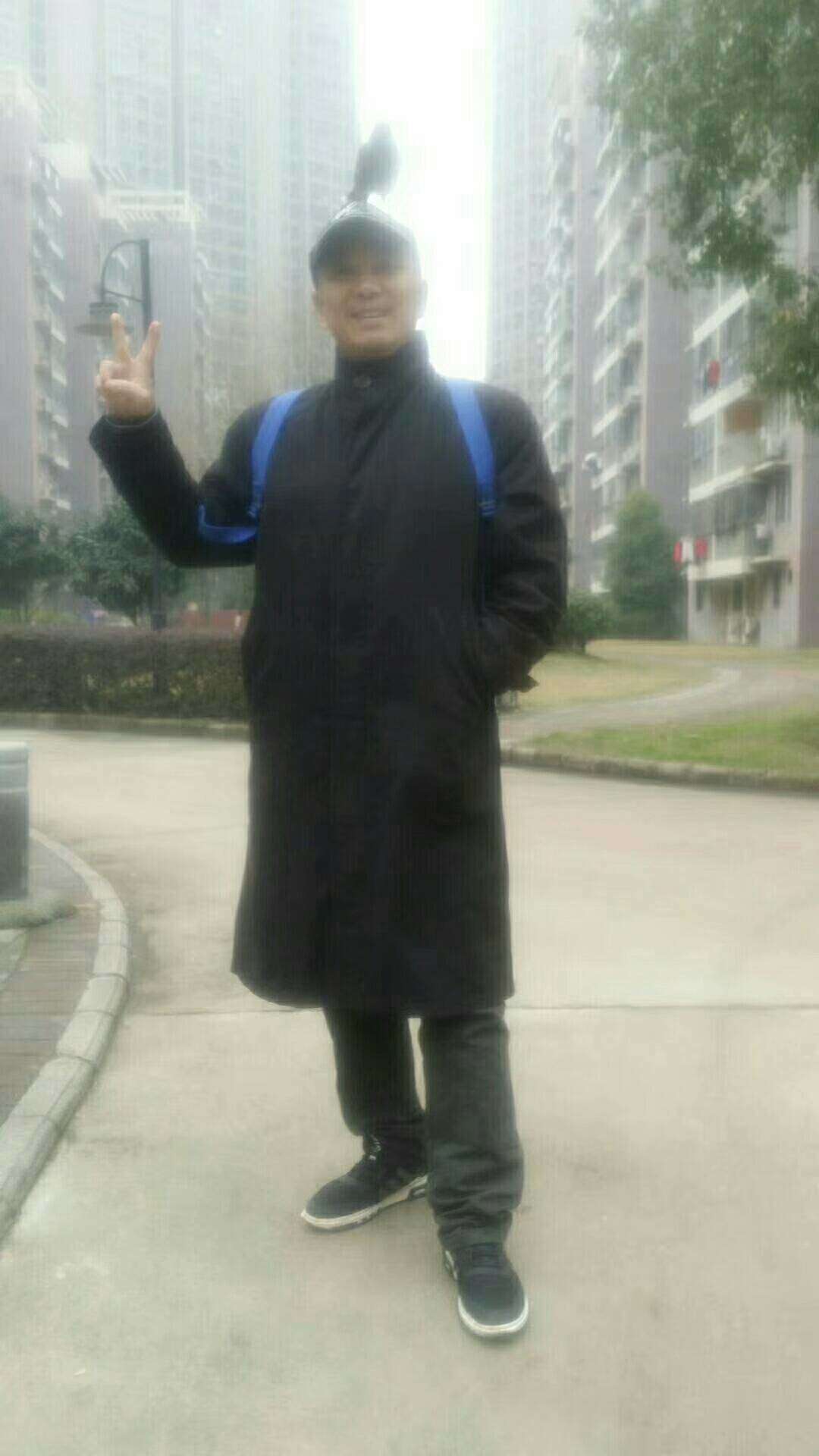 画家书法家杨文个人艺术简介,杨文画家简介,杨文作品价格,杨文个人简介,杨文艺术作品,书法家杨文简介,画家杨文简介